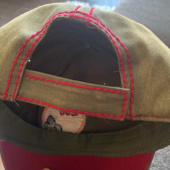 Harambe - Picture 4 of 4